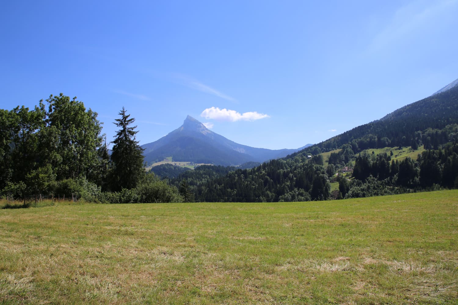 TrioBoisd'&eacute;oleGrenoble_Chartreuse1