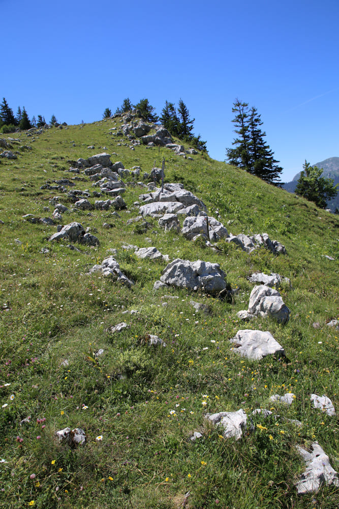 TrioBoisd'&eacute;oleGrenoble_Chartreuse2