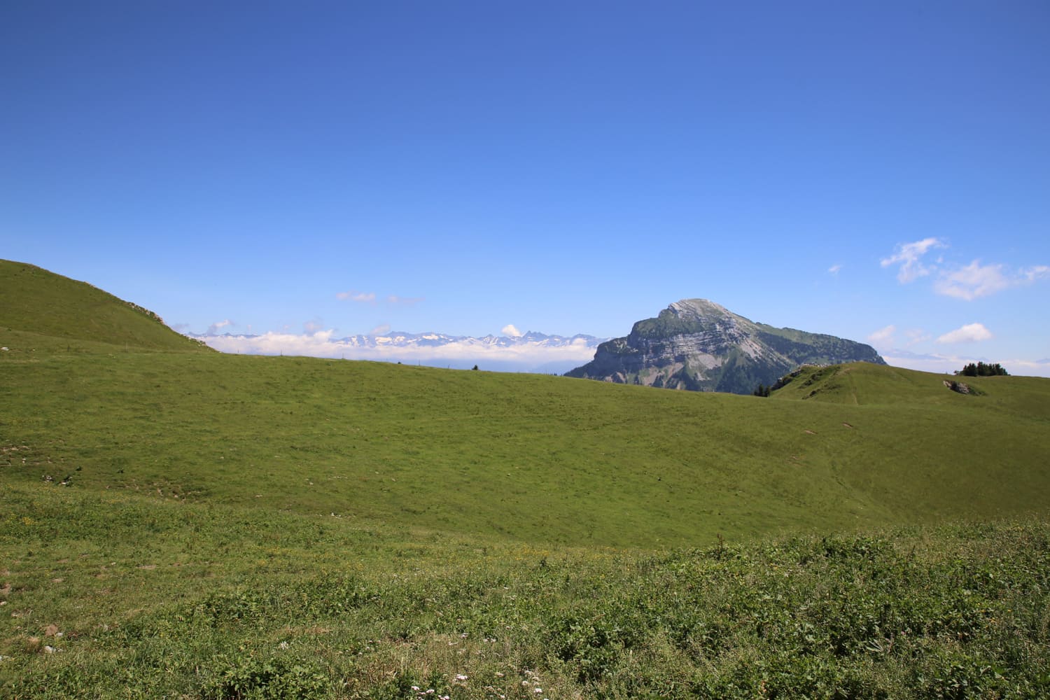 TrioBoisd'&eacute;oleGrenoble_Chartreuse3