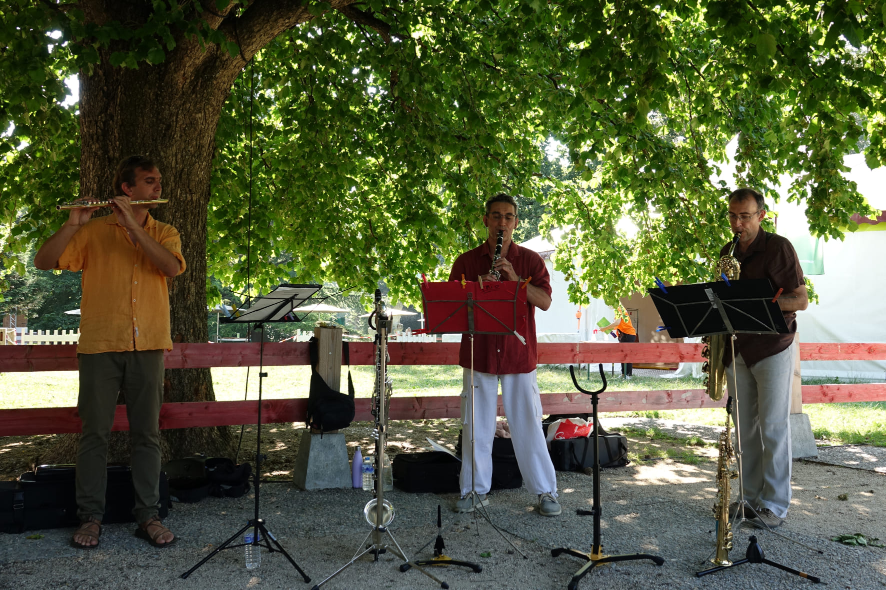 TrioBoisd'&eacute;oleGrenoble_Concert3