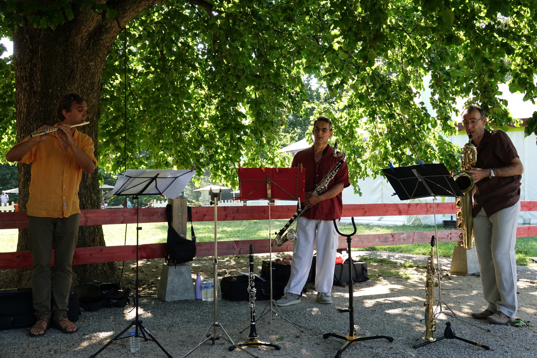 TrioBoisd'&eacute;oleGrenoble_Concert4