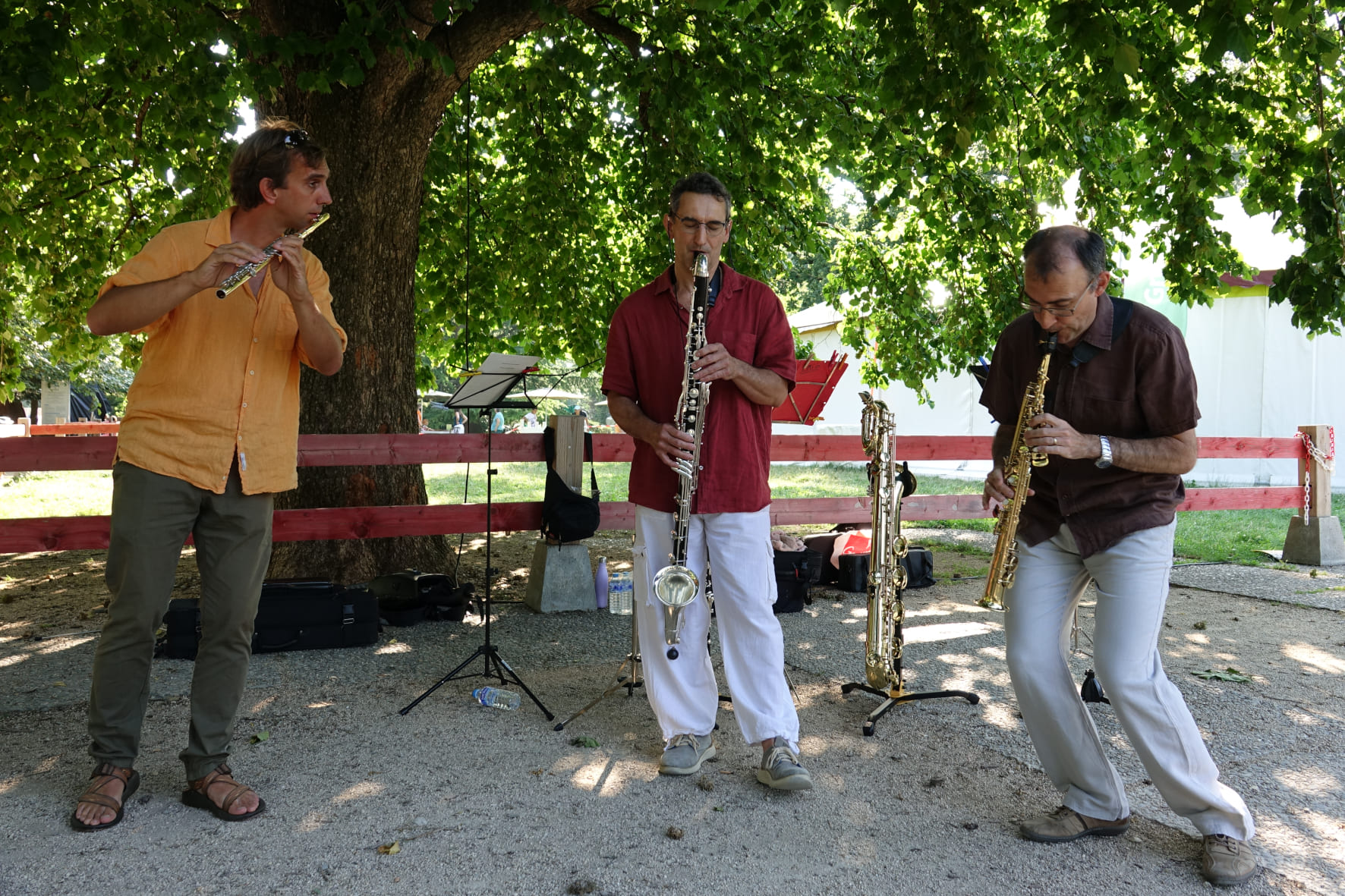 TrioBoisd'&eacute;oleGrenoble_Concert6