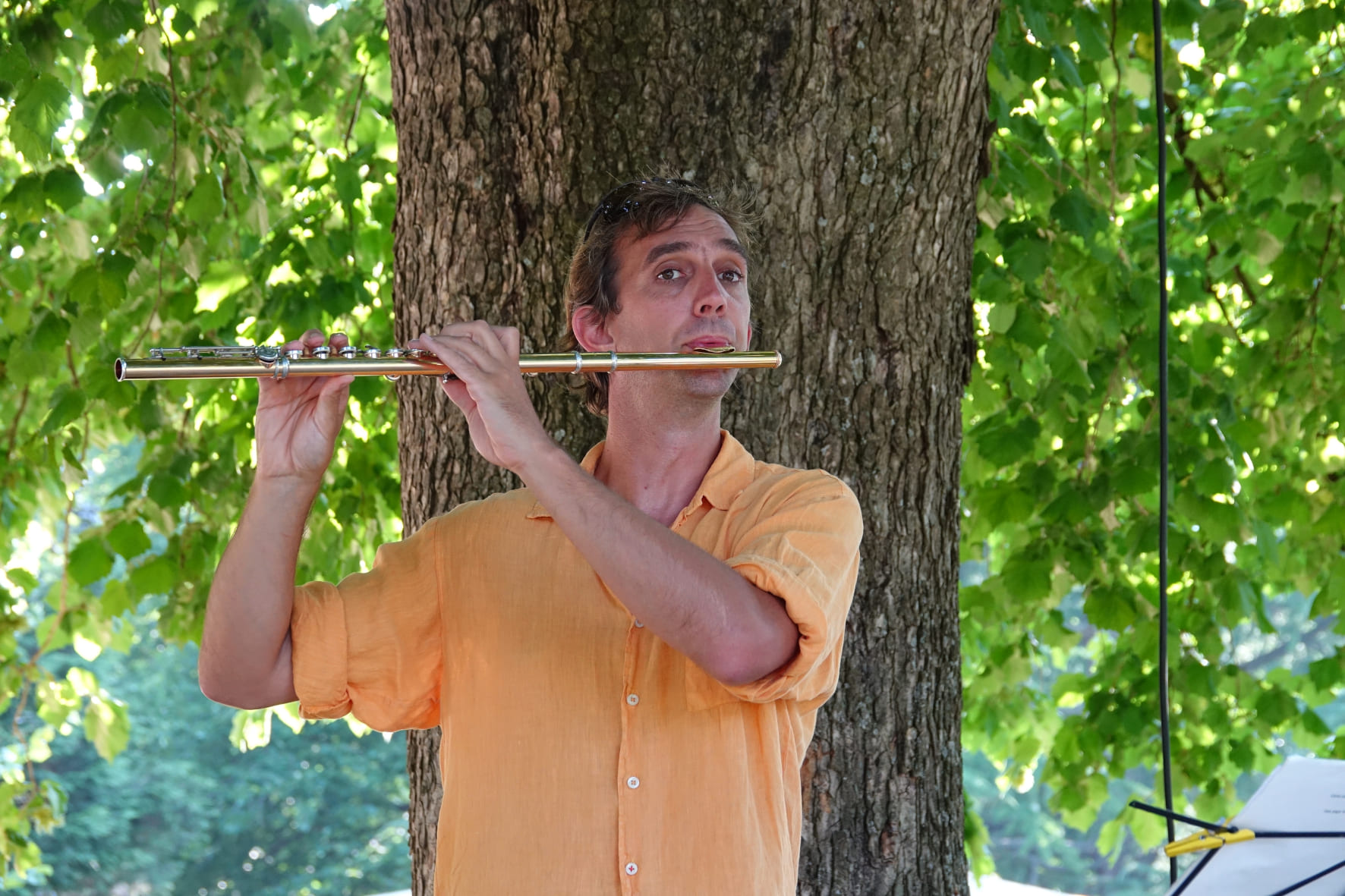 TrioBoisd'&eacute;oleGrenoble_Concert7
