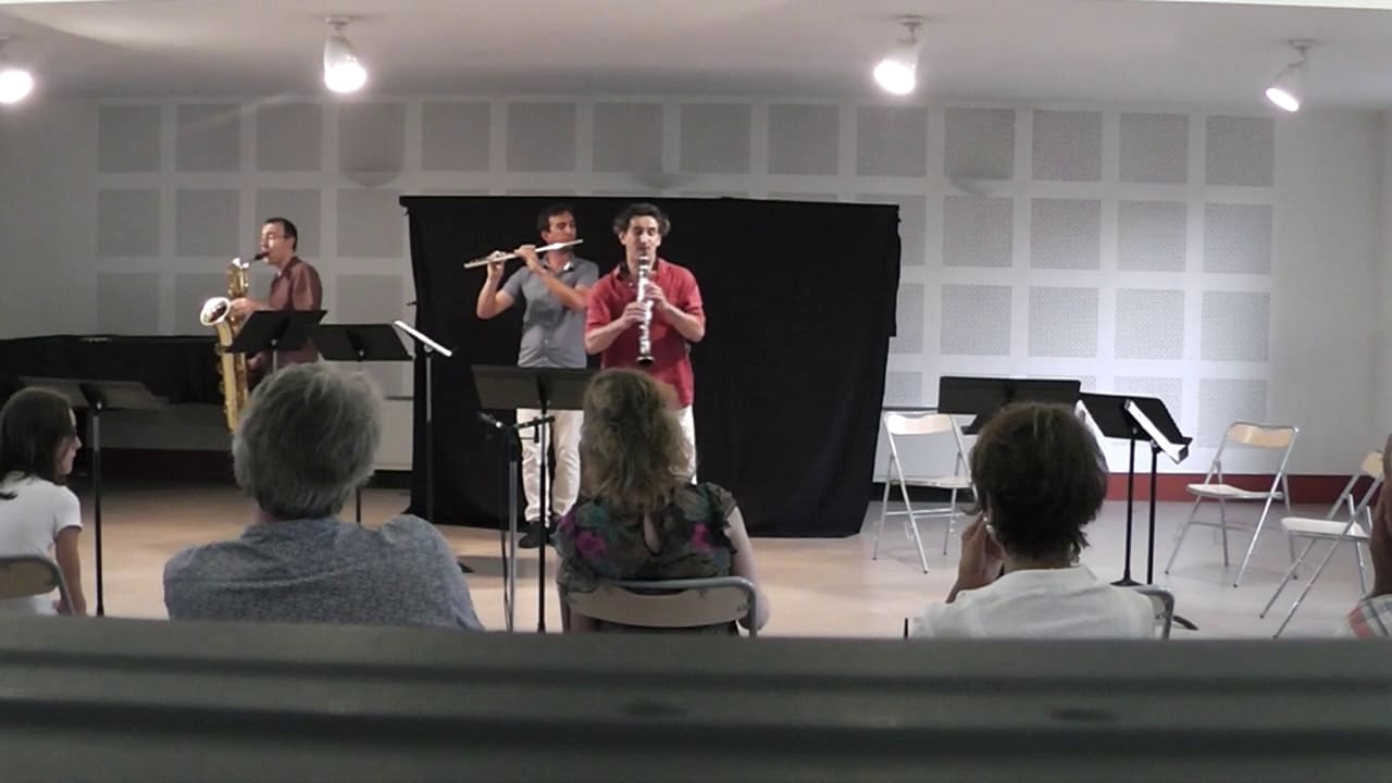 TrioBoisd'&eacute;oleGrenoble_Concert8